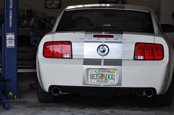 2007 Shelby Mustang's Backview!